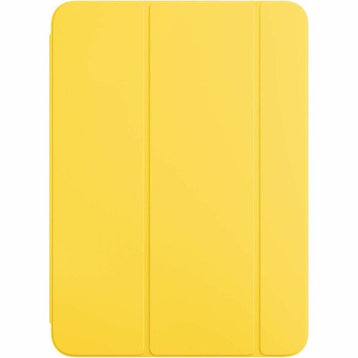 Apple Carrying and Protective Accessories