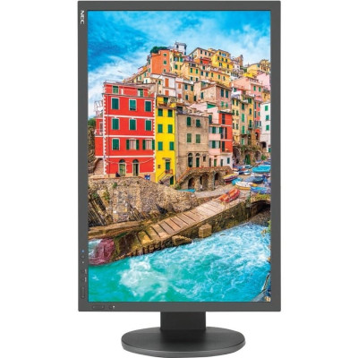 NEC Monitor