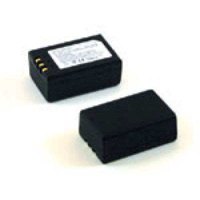 Wasp Battery