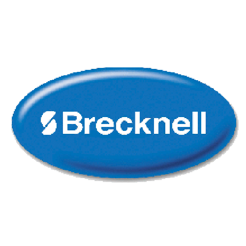 Brecknell DSB Floor Scale