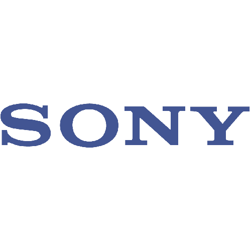 Sony Electronics Security Camera