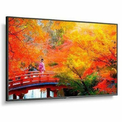 NEC Monitor