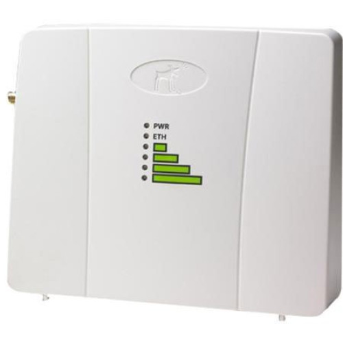 Ruckus Wireless Access Points
