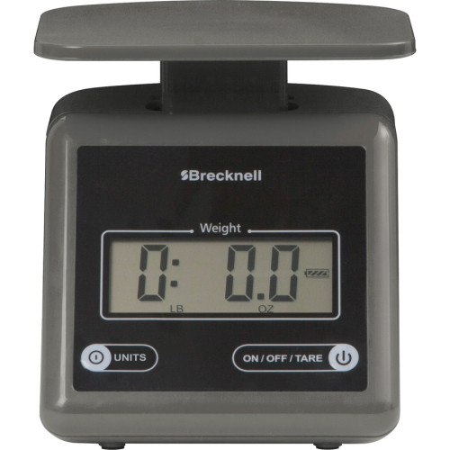 Brecknell Scale