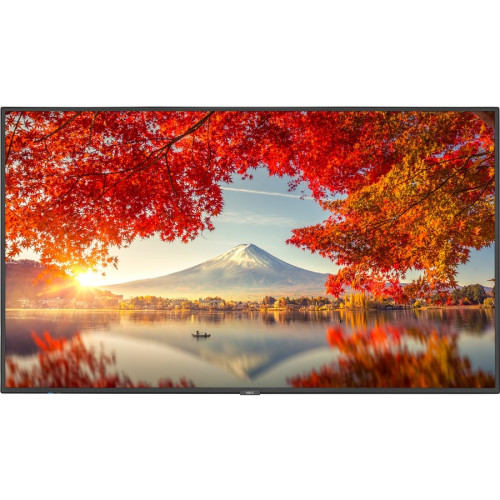 NEC Monitor