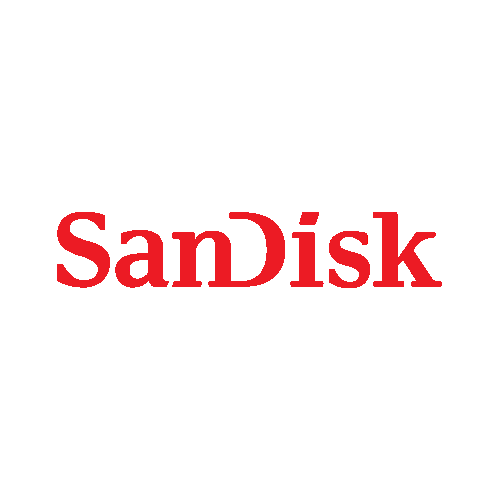 SanDisk Drive