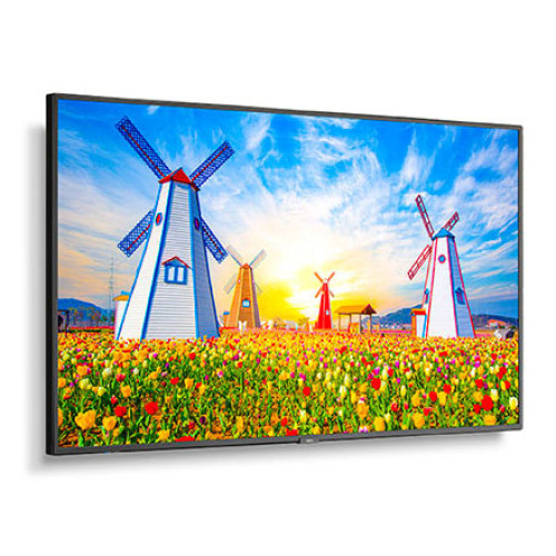 NEC Monitor