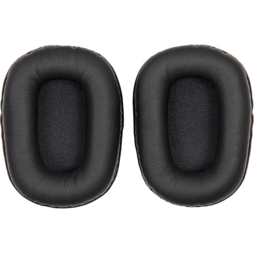 BlueParrott Accessory