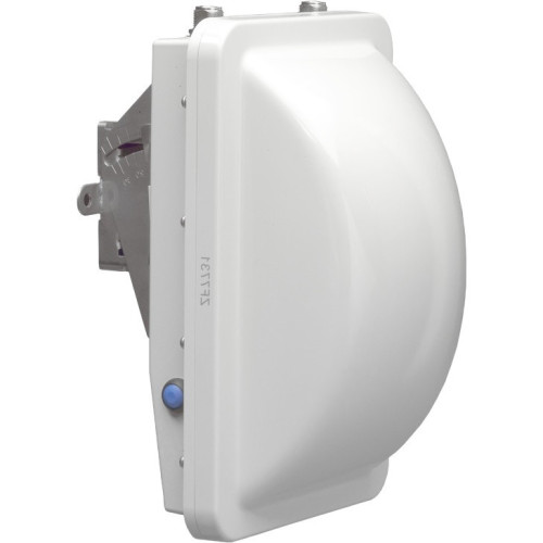 Ruckus Wireless Access Points