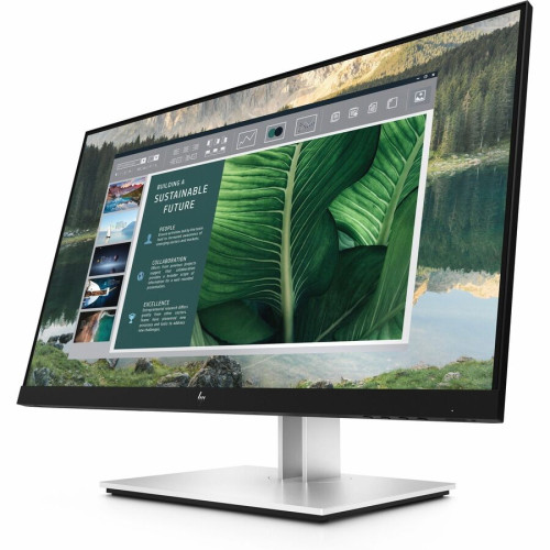 HP Monitor