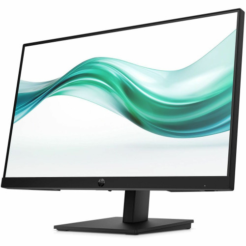 HP Monitor