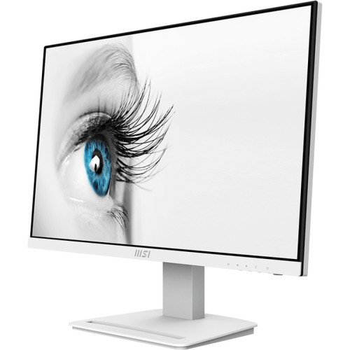 MSI Monitor
