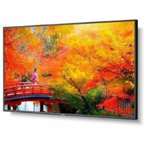 NEC Monitor