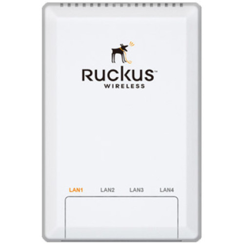 Ruckus Wireless Access Points