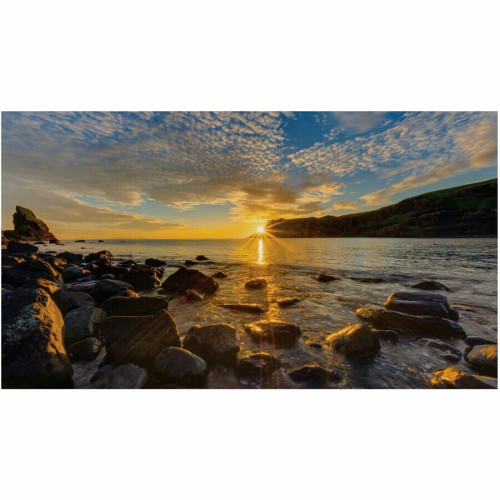 Samsung Digital Signage Display