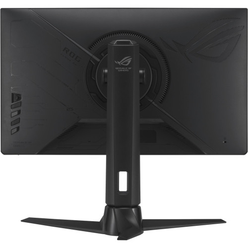 Asus Monitor