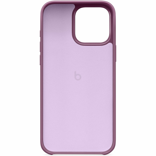 Apple Carrying and Protective Accessories