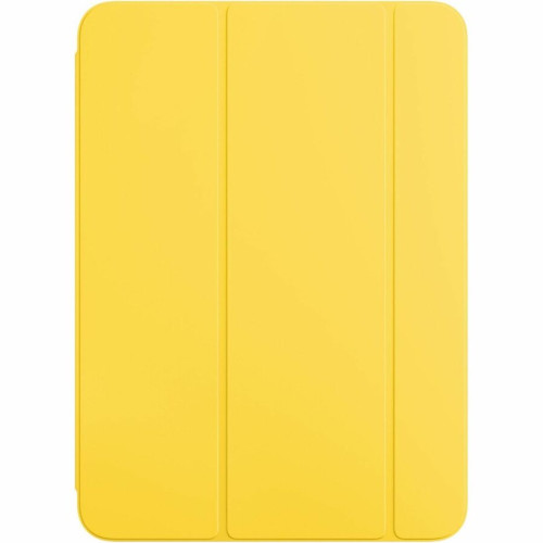 Apple Carrying and Protective Accessories