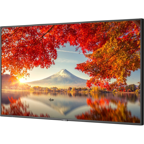 NEC Monitor