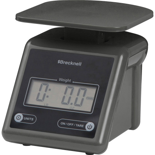 Brecknell Scale