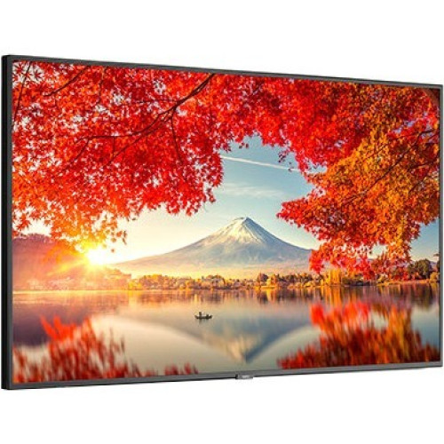 NEC Monitor