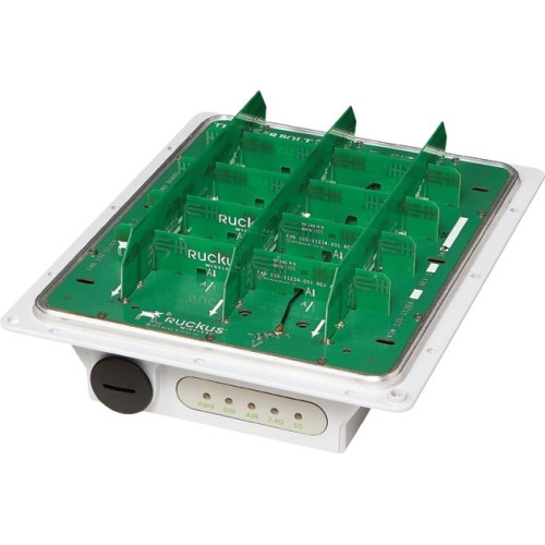 Ruckus Wireless Access Points